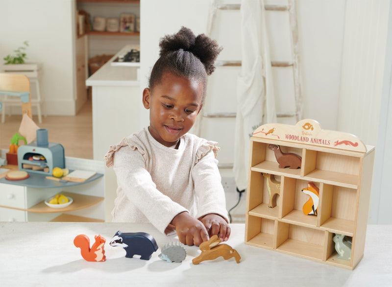STEM Toys: Building Tomorrow's Scientists and Engineers