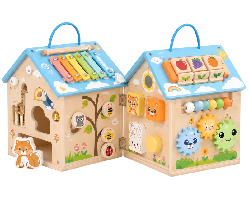 Multi-Function Play House